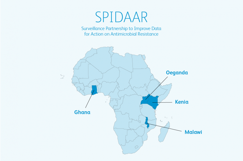 Infographic Spidaar-Pfizer